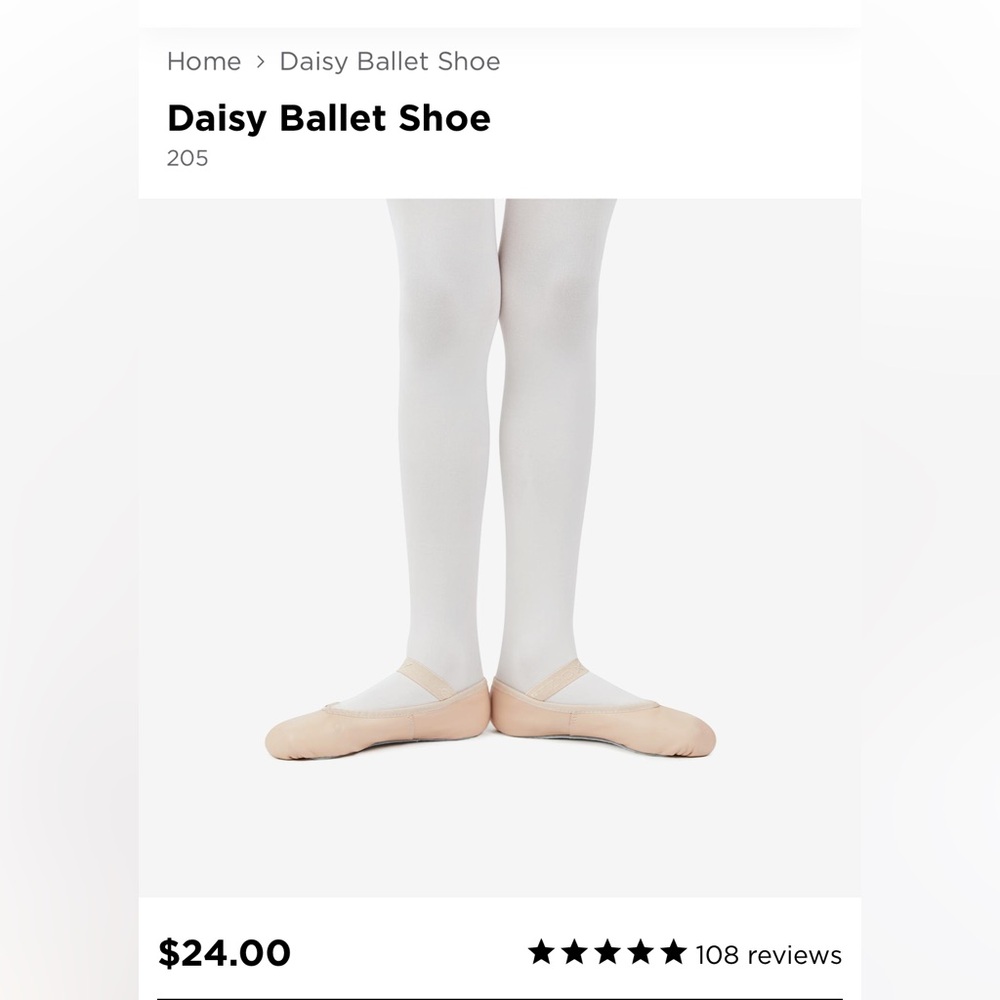 Size 6M Daisy ballet shoes